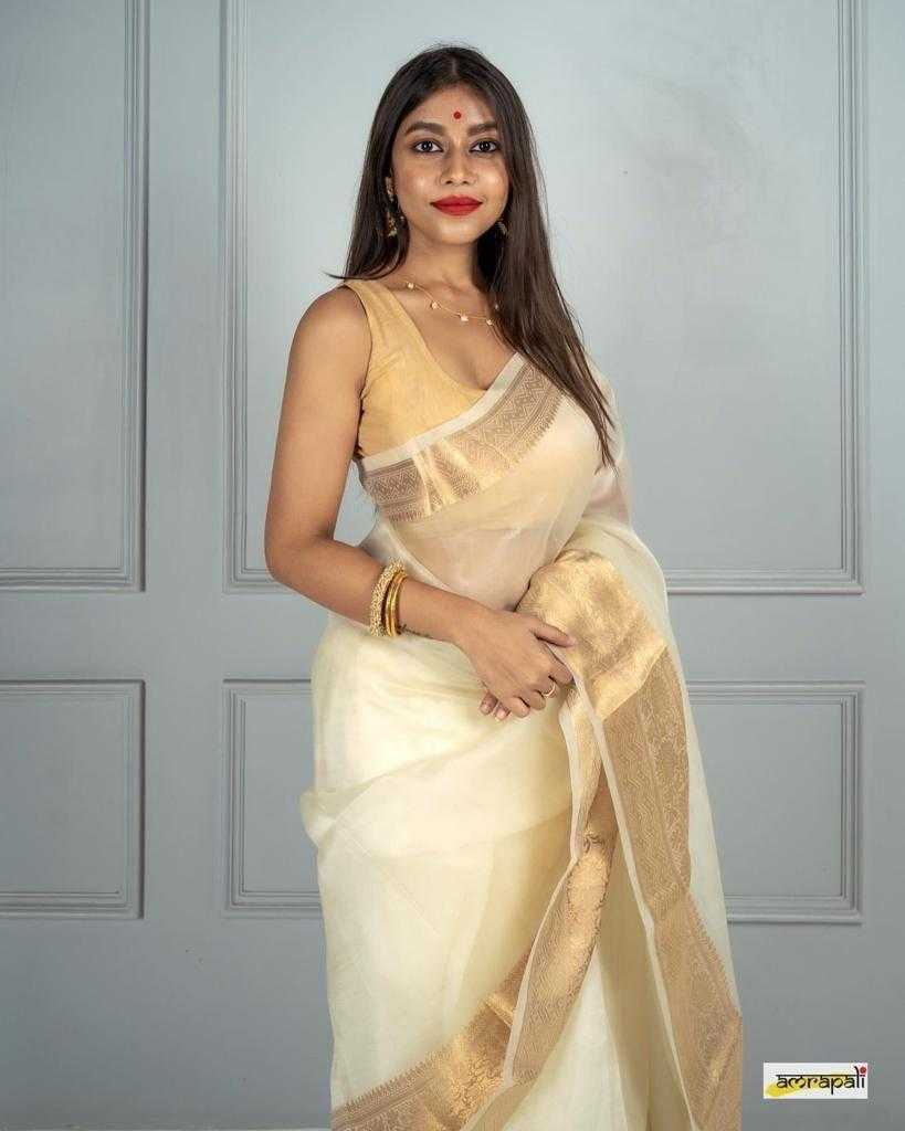 Soft Plain Nylon Organza Saree