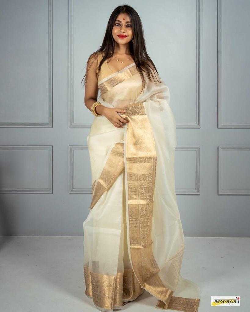 Soft Plain Nylon Organza Saree
