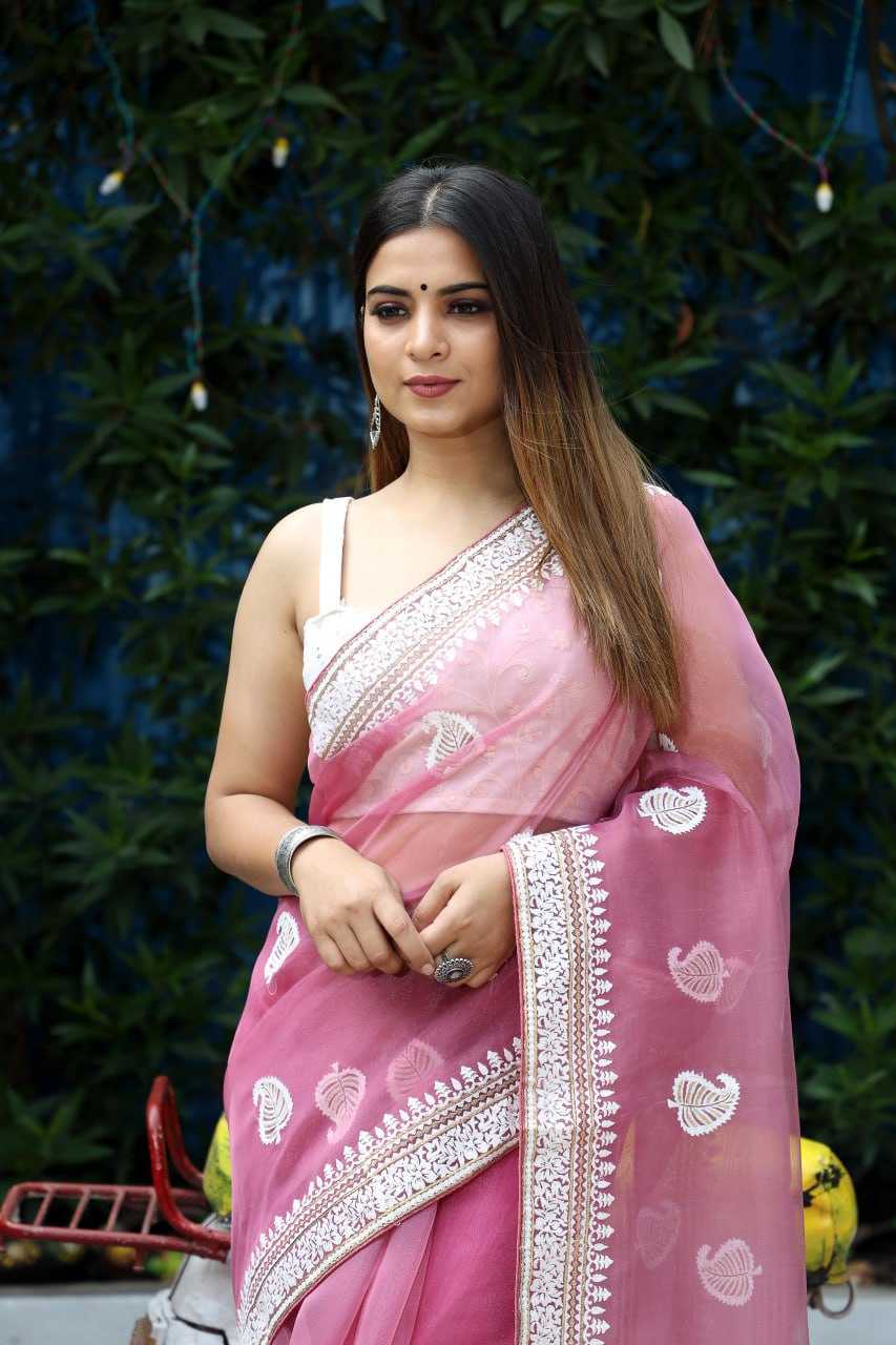 Stylish Organza Saree
